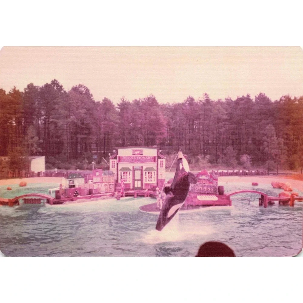 Vintage 1970s Six Flags Great Adventure Orca Water-Ski Show Photo Lot of 11 - Picture 10 of 11